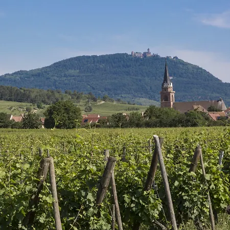 Apartahotel Résidence Odalys Le Domaine Des Rois 3*