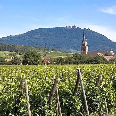 Odalys Le Domaine Des Rois 3*