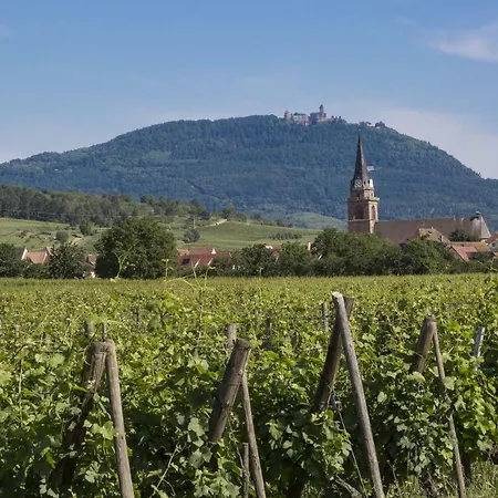 Odalys Le Domaine Des Rois 3* Bergheim